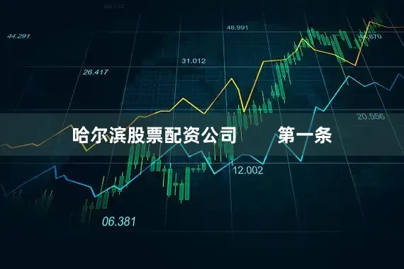 哈尔滨股票配资公司        第一条