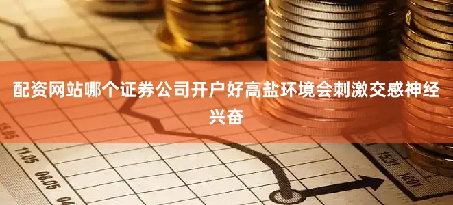 配资网站哪个证券公司开户好高盐环境会刺激交感神经兴奋