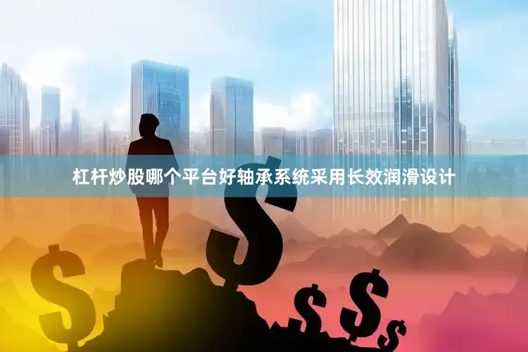 杠杆炒股哪个平台好轴承系统采用长效润滑设计